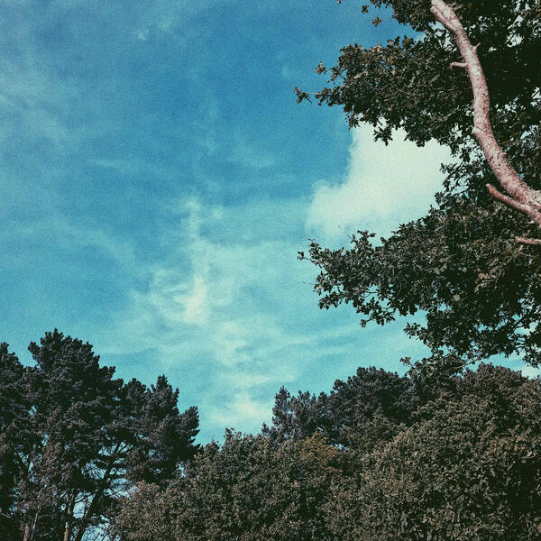 Orchestral Works I. &quot;Világfa&quot; (2020)